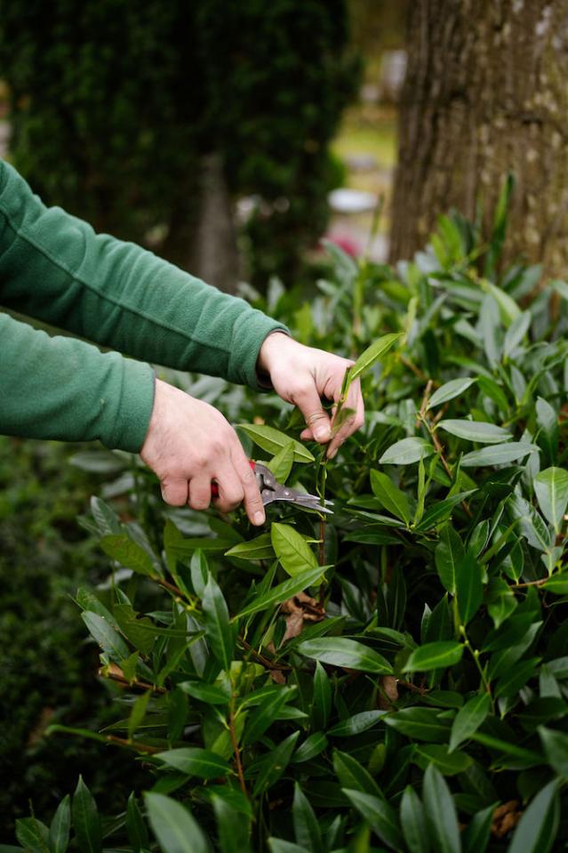 Bild "grabpflege_2.jpg"