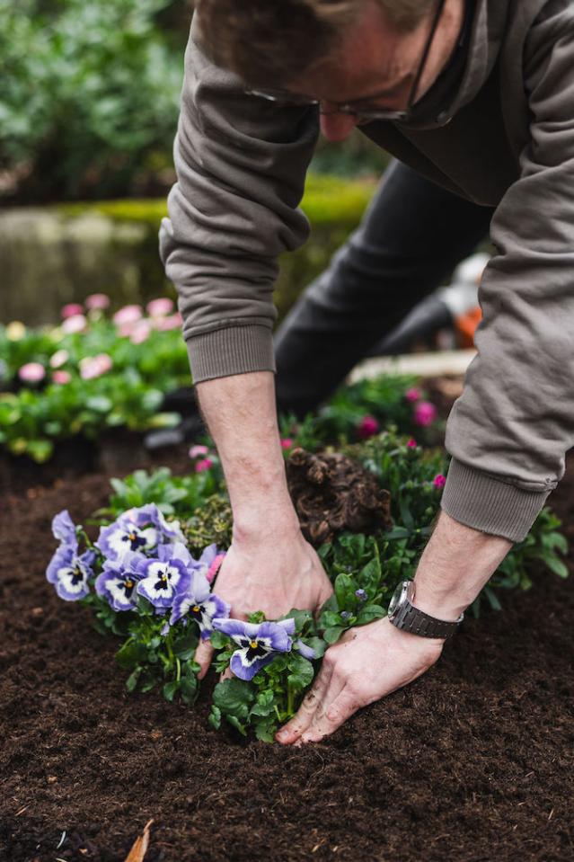 Bild "grabpflege_3.jpg"