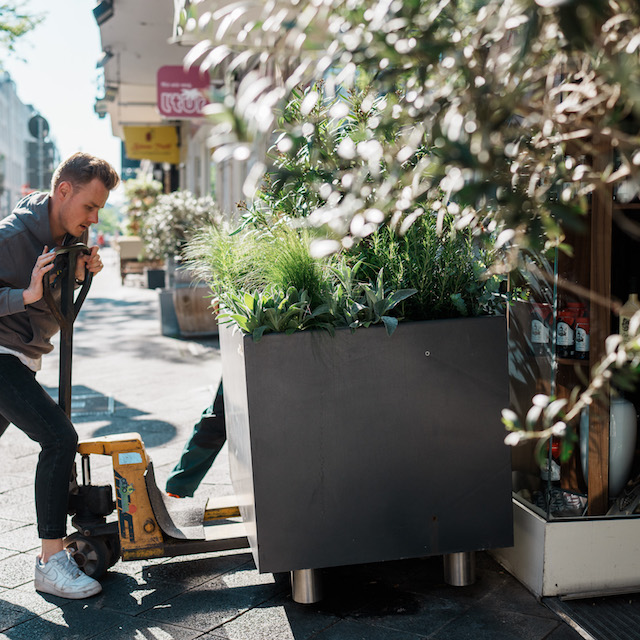 Bild "Begr&uuml;nungskonzepte:otto-aussenbegruenung.jpg"