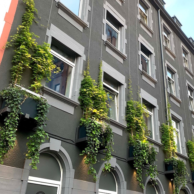 Bild "Begr&uuml;nungskonzepte:otto-fassadenbegruenung.jpg"