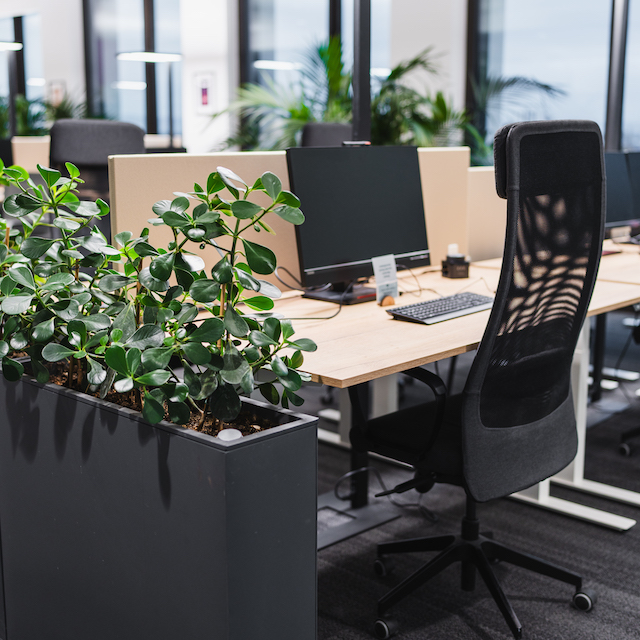 Bild "Begr&uuml;nungskonzepte:otto-innenbegruenung.jpg"