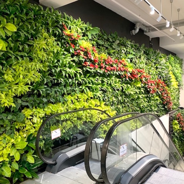 Bild "Begr&uuml;nungskonzepte:otto-pflanzenwaende.jpg"