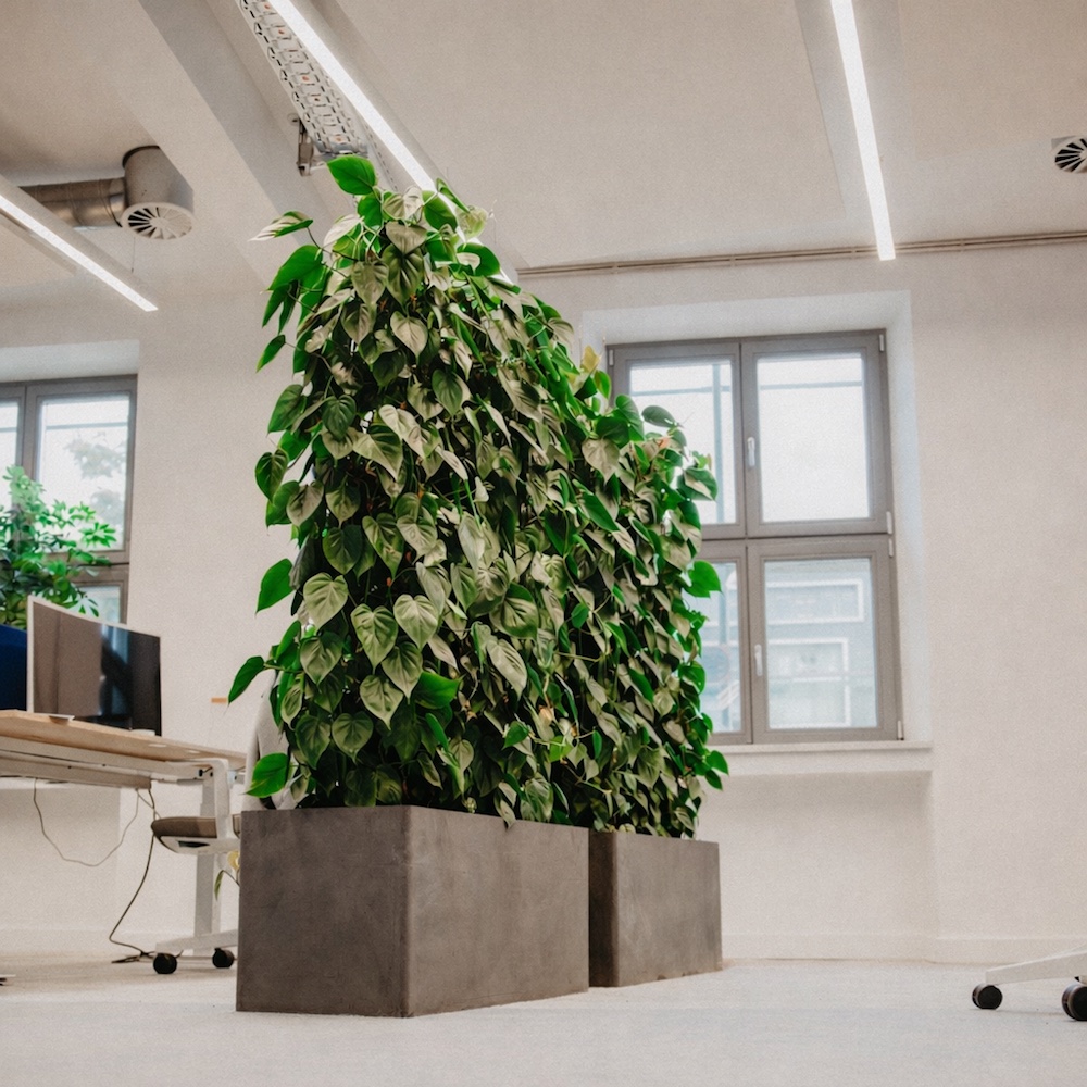 Bild "Begr&uuml;nungskonzepte:pflanzenhecke.jpg"