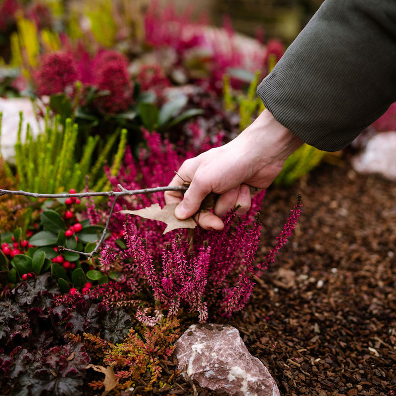 Bild "Friedhofsg&auml;rtnerei:einzelservice.jpg"