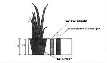 Bild "Indoor:Hydrokultur.jpg"