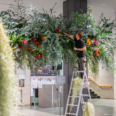 Bild "Otto Blumen:otto-blumen.jpg"